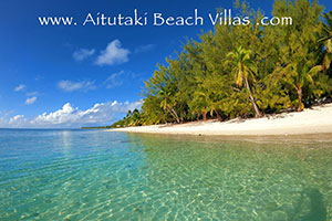 View of the beach view and lagoon villa accommodation amongst lush vegetation